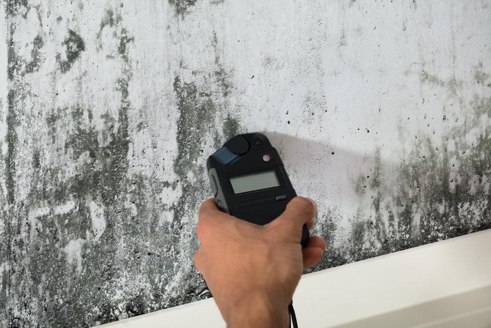 a cleaning professional testing for mould on a dirty looking wall